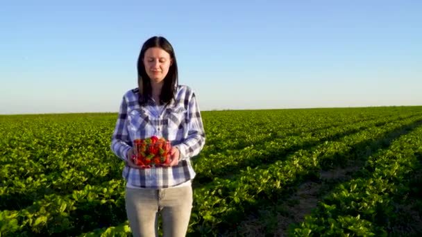 Ung vacker flicka håller låda full av jordgubbar som står på gröna plantation — Stockvideo