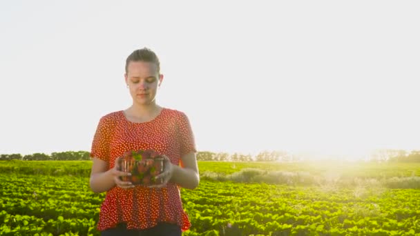 Schöne Mädchen mit Erdbeeren bei Sonnenuntergang Hintergrund — Stockvideo