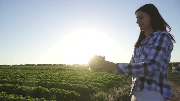 Молодая девушка держит пластиковую коробку, полную клубники против солнца, замедленное движение — стоковое видео