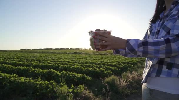 Flickan håller plastlåda full av jordgubbar mot solen, Slowmotion — Stockvideo