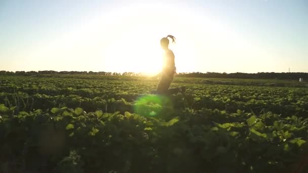 Chica joven feliz corriendo al atardecer en el campo de fresas en cámara lenta — Vídeo de stock