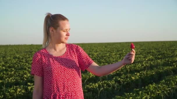 Mladá dívka v pozadí jahodové plantáže v ruce drží jahoda — Stock video