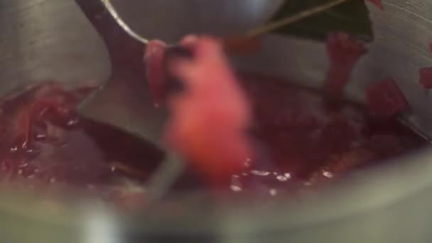 Змішування борщу в сковороді — стокове відео
