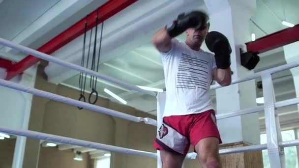 성인 남자가 권투 링에서 그의 불면 기술 훈련 — 비디오
