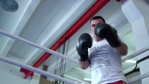 Mannen i boxning handskar Visa sin blåser teknik på kamera — Stockvideo