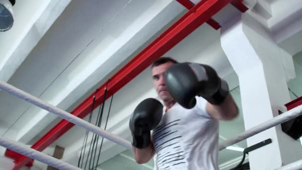 Boxer en gants de boxe frapper avec un adversaire invisible au ring de boxe et gagner — Video