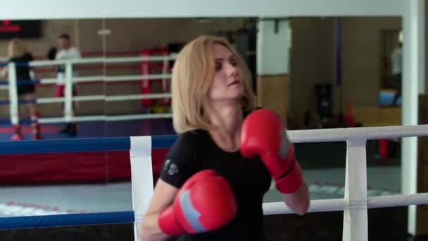 O femeie frumoasă în mănuși de box antrenându-și hit-urile cu antrenorul la inelul de box — Videoclip de stoc