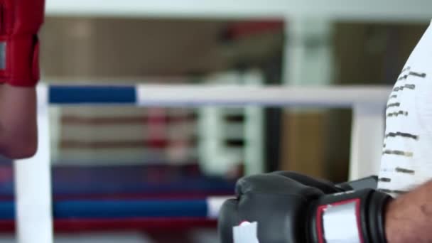 Boxers gestos mãos na frente da câmera — Vídeo de Stock