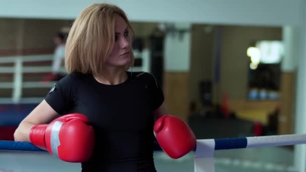 Woman in boxing gloves leans at ropes of boxing ring — Stock Video