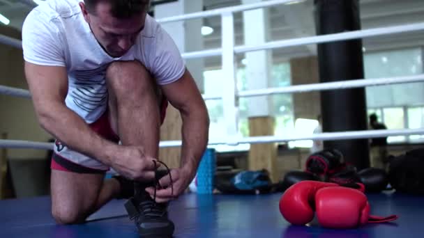 Sportsman cordones de corbata en zapatillas de deporte en el ring de boxeo — Vídeo de stock