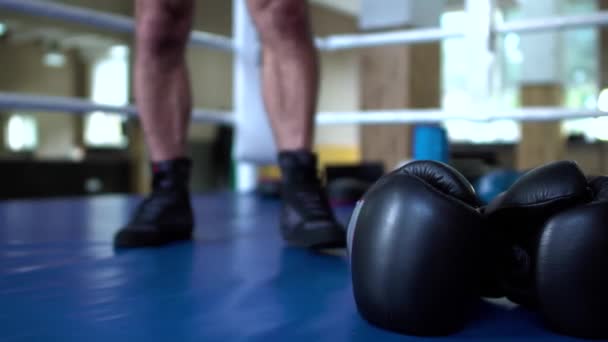 Sportsman tomar guantes de boxeo en las manos — Vídeos de Stock