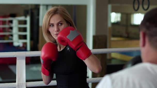Mujer entrenamiento kickboxing hits con pierna con entrenador en el ring de boxeo — Vídeos de Stock