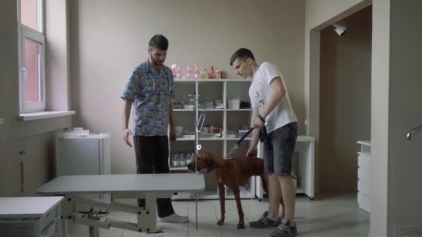 Cara com um cachorro em um veterinário em uma pesquisa — Vídeo de Stock