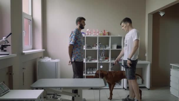 Young man with a dog at a veterinarian at a survey — Stock Video