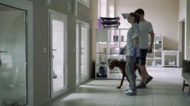 Hayvanlar için revire bir köpek ile bir adam güzel kız eskort