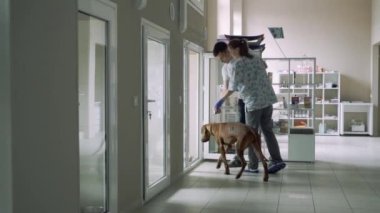 Kız veteriner Veteriner Kliniği içinde a köpek için hayvanlar revirde bir yer gösterir