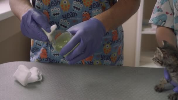 Dierenarts rinses de ogen van het kitten — Stockvideo