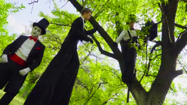 MIME- och gatuartister som lurar på styltor spela i parken — Stockvideo