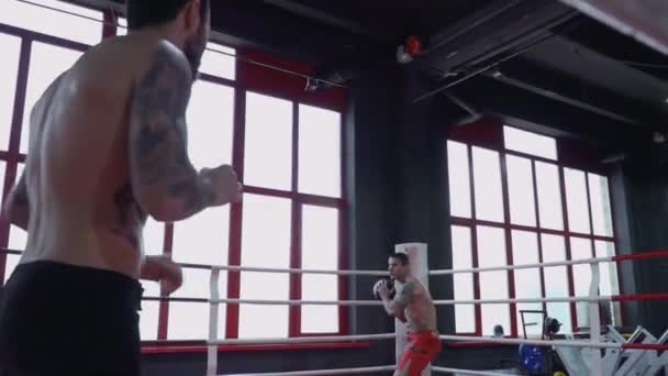 Två boxare kastar bollen på ringen — Stockvideo
