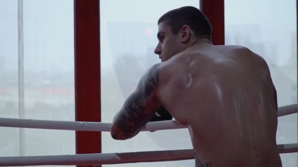 Boxeador con tatuajes se para en el ring con la espalda a la cámara — Vídeos de Stock