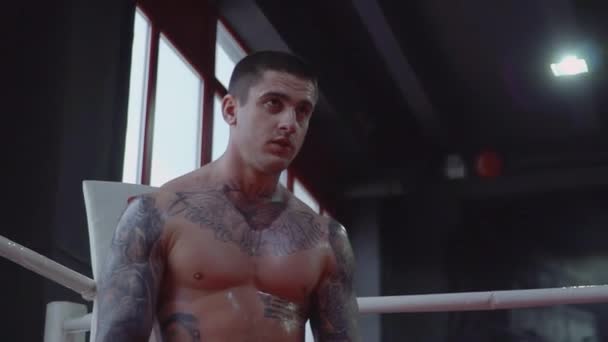 Knappe boxer met tatoeages staat in de hoek van de ring — Stockvideo