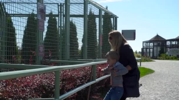 Мать с маленьким сыном в зоопарке — стоковое видео