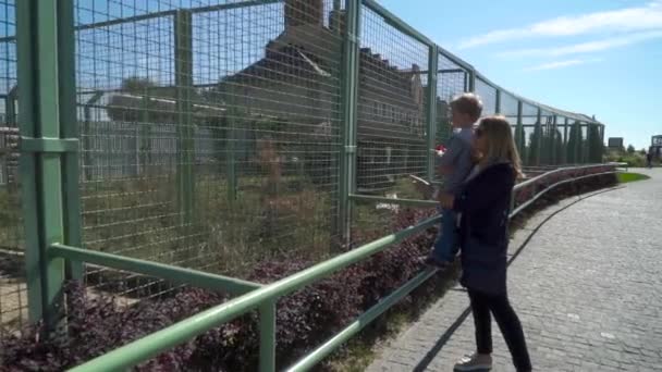 Мать с сыном в зоопарке смотрит на волка — стоковое видео