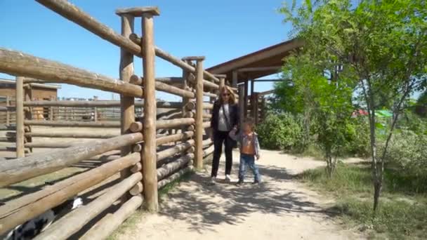 Mor och son promenad nära voljär på zoo — Stockvideo