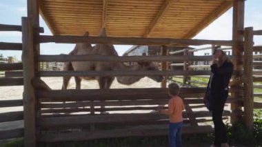 Anne ve oğlu stand deve hayvanat bahçesindeki yakınında