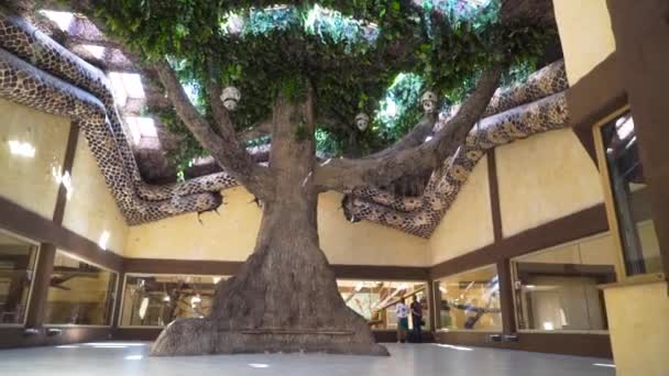 Énorme stand d'arbre au milieu du hall du zoo — Video