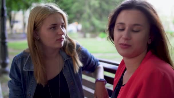 Dos chicas están charlando en el parque — Vídeo de stock