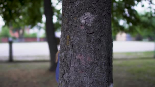 Happy boy and girl peek out from behind a tree — Stock Video