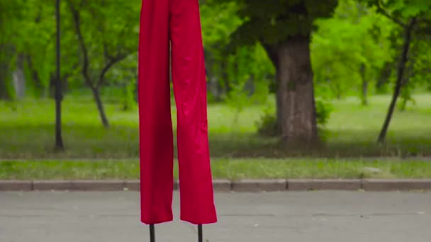 Lustige Pantomimen spazieren auf Stelzen und jonglieren im Park — Stockvideo