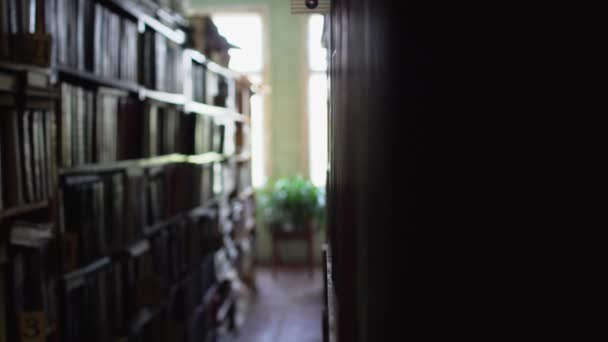 Vista entre filas en la biblioteca . — Vídeos de Stock