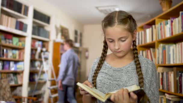 Kis lány pigtails a könyvtárban — Stock videók
