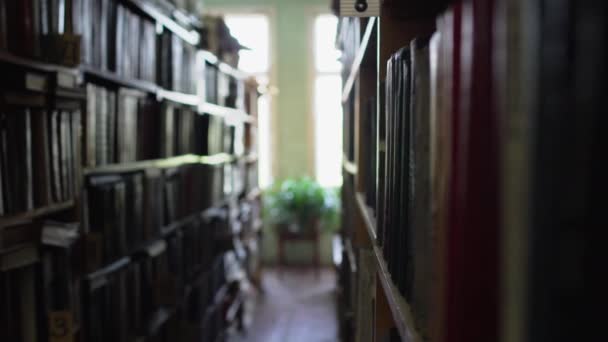 Blick zwischen den Zeilen in der Bibliothek. — Stockvideo