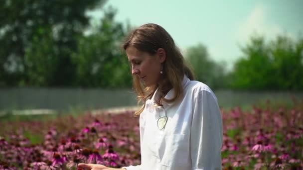 Belle fille sur un champ de fleurs — Video