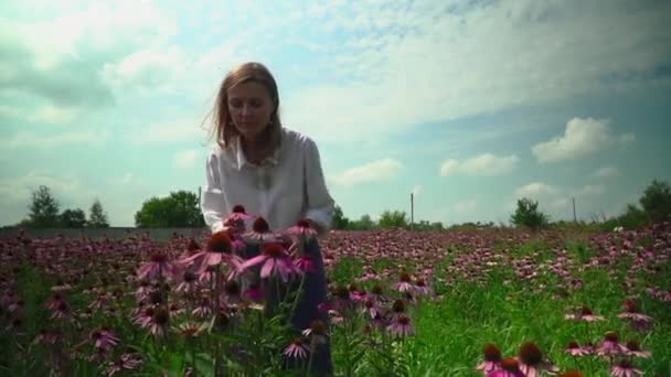 Beautiful young girl smelling flowers on a flower field — Stock Video