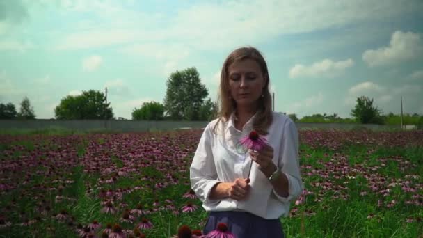 Hermosa chica en un campo de flores oliendo una flor de equinácea — Vídeo de stock