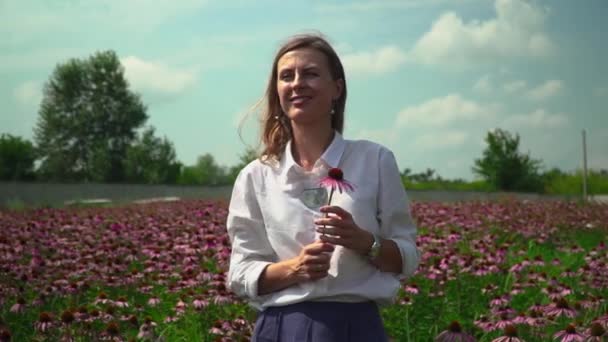 Hermosa morena en un campo de flores oliendo una flor — Vídeo de stock