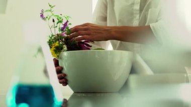 Arı çiçek pollinates