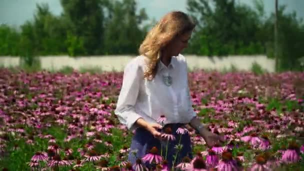 Schönes Mädchen geht an einem Blumenfeld entlang — Stockvideo