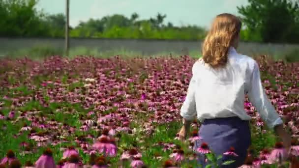 Beautiful girl is walking along a flower field — Stock Video