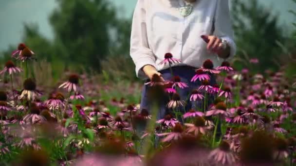 Schönes Mädchen geht an einem Blumenfeld entlang — Stockvideo