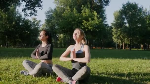 Две красивые девушки занимаются йогой на открытом воздухе — стоковое видео