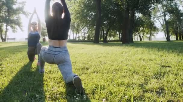 Δύο όμορφα κορίτσια κάνουν ασκήσεις το πρωί στο πάρκο — Αρχείο Βίντεο