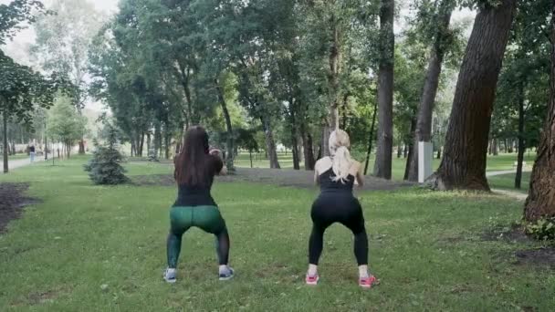 Zwei schöne Mädchen bei Übungen im Park. — Stockvideo