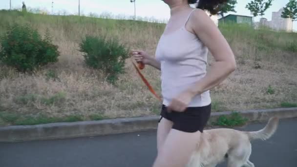 Chica joven corriendo con un perro al aire libre — Vídeo de stock