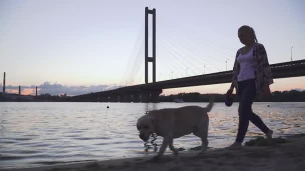 Mooi meisje loopt met een hond langs de rivier — Stockvideo