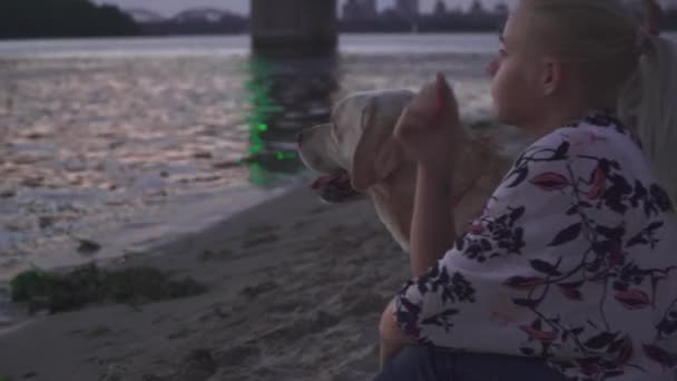 Hermosa chica pasea con un perro en la orilla del río — Vídeo de stock